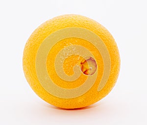 Navel Orange