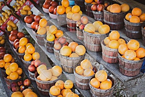 Navel orange, honeybell oranges, tomatoes, mangos carton boxes on shelves display roadside market stand in Santa Rosa, Destin,