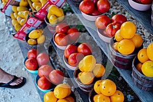 Navel orange, honeybell oranges, tomatoes, mangos carton boxes on shelves display roadside market stand in Santa Rosa, Destin,