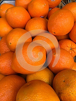 Navel Oranges, Citrus sinensis