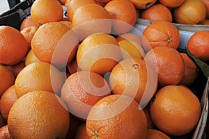 Oranges for sale