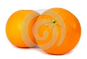 Navel oranges on white background