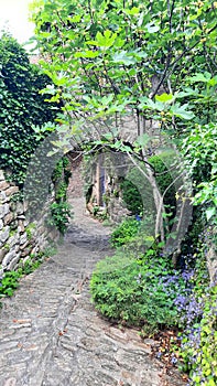 In the stone and cobblestone village of Naves photo