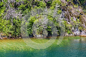 Navigating the Lake of Todos los Santos - Peulla- Chile - Andean Crossing