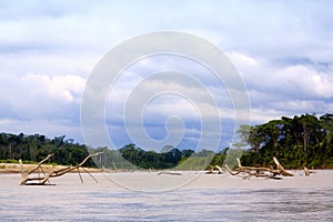 Navigating Manu River