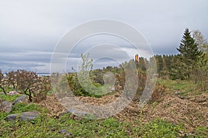 Navigational marker on a island with forest.