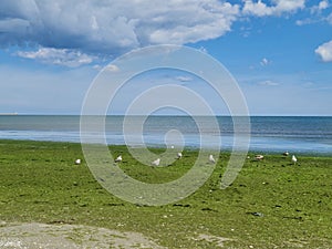 Navodari Beach on a sunny day.July 2021