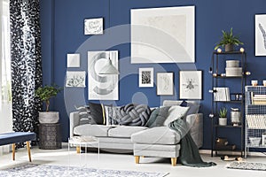 Navy blue room with gallery