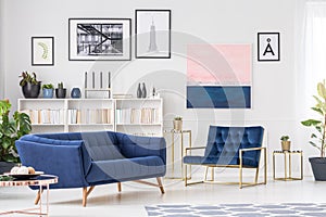 Navy blue sophisticated living room