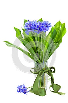 Navy corn flowers bouquet in vase