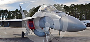 Navy F-18 Hornet Fighter Jet