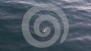 A navy seal emerges from the sea