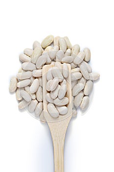 Navy White Kidney Beans (Navy beans), Cannellini beans with wooden spoon