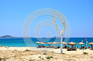 Naxos landscape near sea, beach with umbrellas and white tree