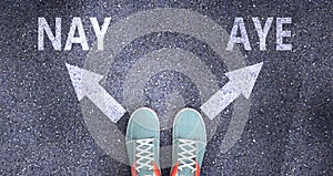 Nay and aye as different choices in life - pictured as words Nay, aye on a road to symbolize making decision and picking either