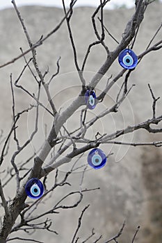 Nazar - a traditional blue glass amulet from the evil eye attached to the branches of a tree.