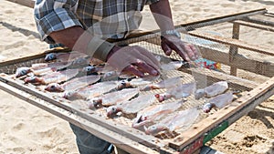 Pescador de acuerdo tradicional sobre el Playa de, pescadores municipio sobre el atlántico Costa 