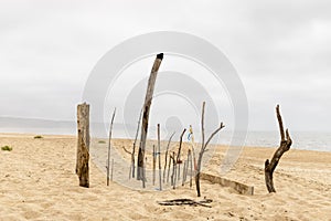 Nazare, Portugal - A collection of drifwood plade upright on the beach
