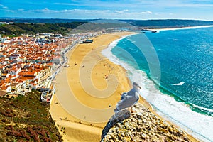 Nazare, Portugal: Panorama of the Nazare town and Atlantic Ocean with seagull bird in the foreground, seen from Nazare