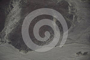 Nazca line of the astronaut . Ancient geoglyph located in the Nazca Desert in southern Peru photo