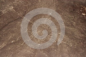 Nazca Lines photo