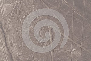 Nazca Lines