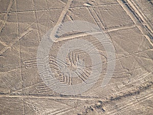 Nazca Lines photo
