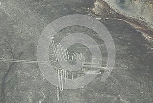 Nazca lines