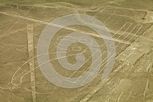 Nazca lines