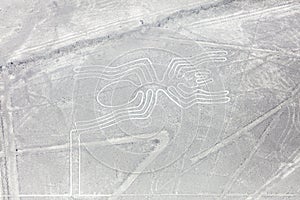 Nazca lines from the aircraft