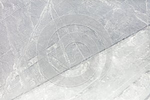 Nazca lines from the aircraft