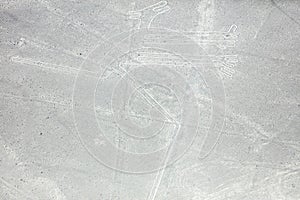 Nazca lines from the aircraft