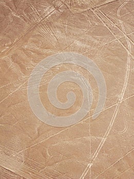 Nazca lines - bird photo