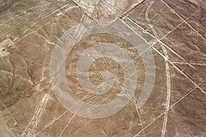 Nazca Lines Condor