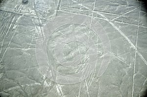 Nazca Lines, the condor, Aerial View, Peru photo