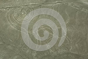 Nazca lines on desert in Peru, South America