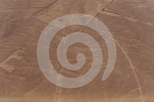 Nazca Lines and geoglyphs