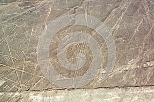 Nazca Lines Geoglyphs