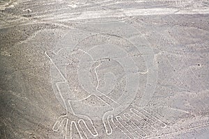 Nazca Lines Hands