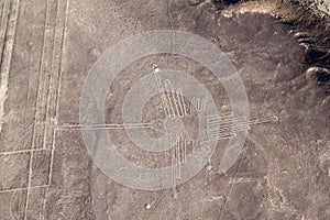 Nazca Lines, Hummingbird figure visible
