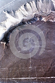 Nazca Lines hummingbird in Peru photo