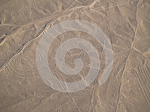 Nazca Lines (Monkey) photo