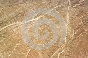 Nazca Lines Monkey