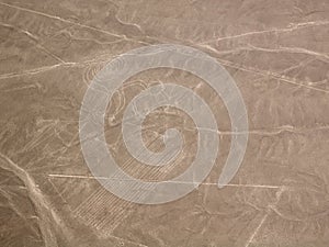 Nazca Lines Monkey