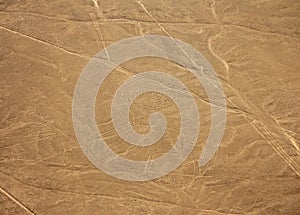 Nazca lines - Monkey