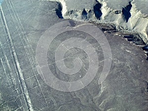 The Nazca lines in Peru, South America