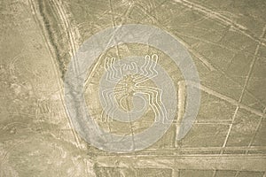The Spider, Nazca Lines, Peru photo