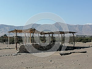 Nazca mummies at Chauchilla Cemetery, Nazca, Peru