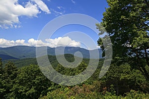 NC Mountains in Summertime