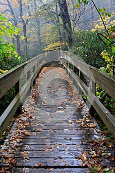 NC Pedestrian Footbridge Autumn Rain